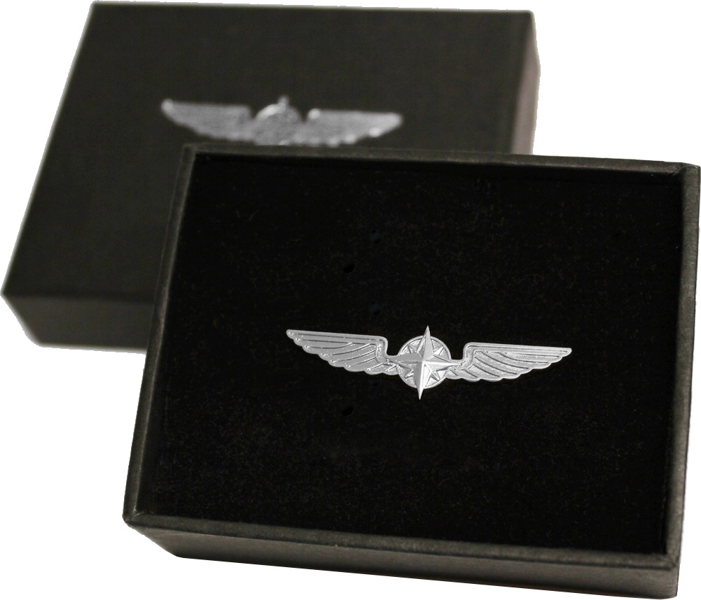 Pilot Wings Silver