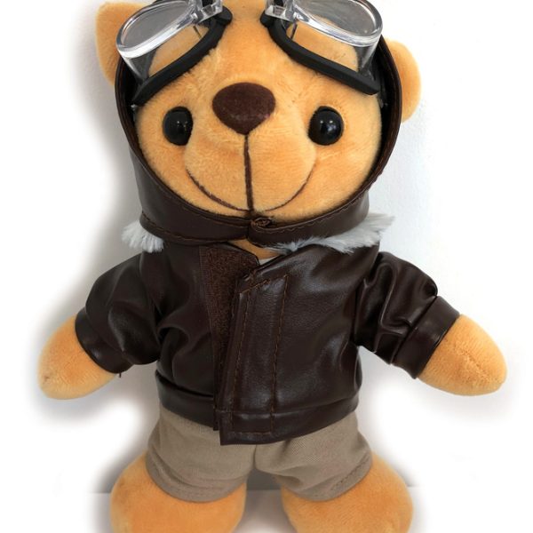 Pilot Bear